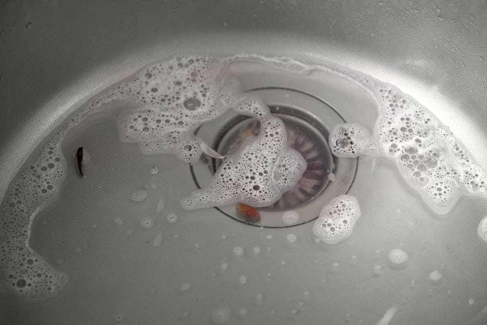 clogged kitchen sink