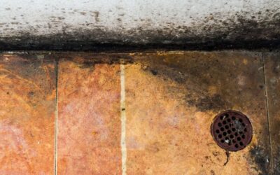 Sewer Odors, Wet Spots, and Backups: Could One Damaged Line Cause Them All?