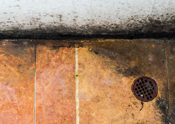 dirty floor drain with water damage and mold